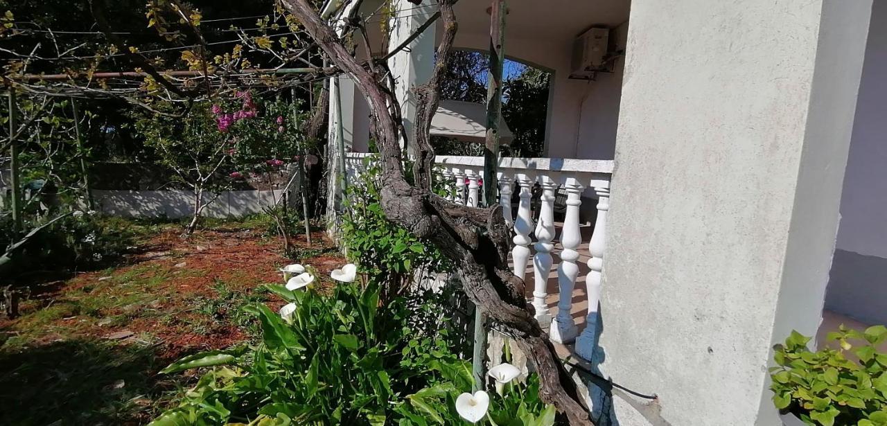 Apartma Olivera Apartments