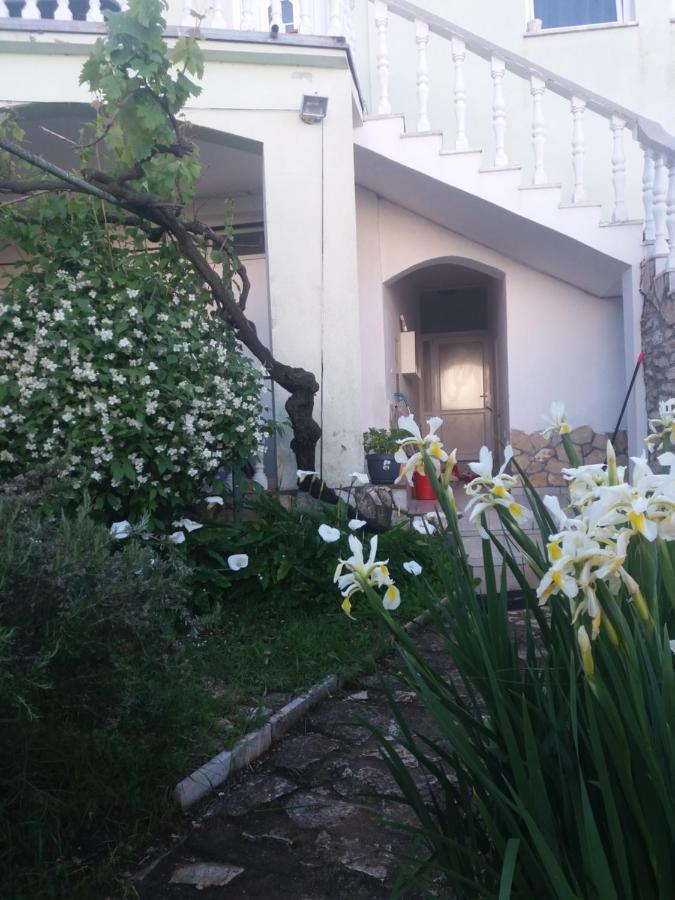 Olivera Apartments * Pula
